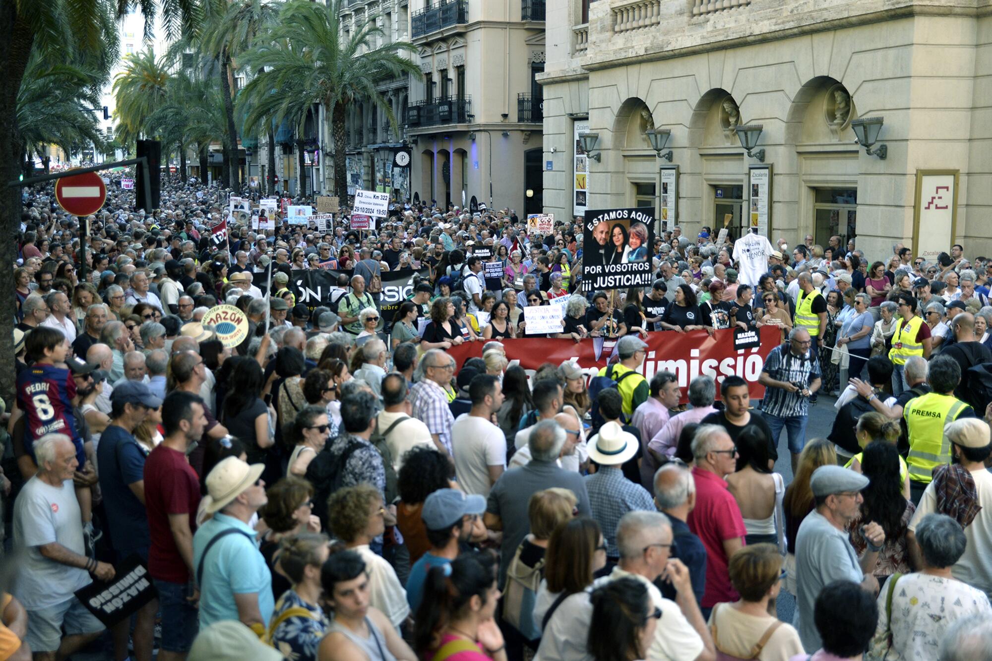 Séptima manifestación Mazón Dimisisó, dia de la huelga - 2